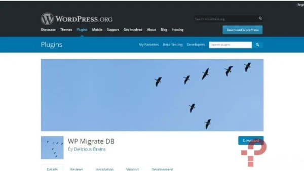 WordPress Migrate DB Pro