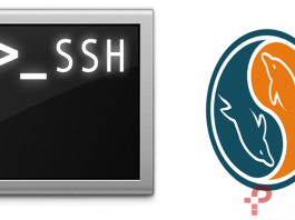 Migrar base de datos MySQL por SSH