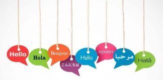 Traducir Temas o plugins WordPress