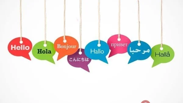 Cómo traducir un tema o plugin de WordPress (Loco Translate, Poedit y WP-CLI)