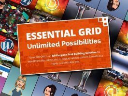 Filtrar haciendo uso de Essential Grid