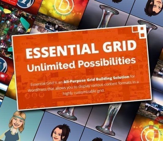 Filtrar haciendo uso de Essential Grid