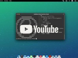 Reproducir y descargar vídeos de Youtube desde el terminal Reproducir y descargar vídeos de Youtube desde el terminal