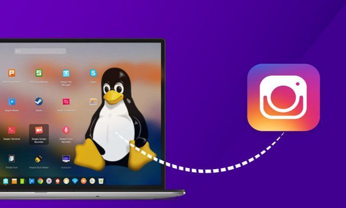 Ramme Un avanzado cliente de Instagram para Linux