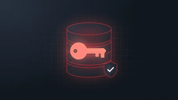 Ilustración de una base de datos con una llave y un escudo con marca de verificación