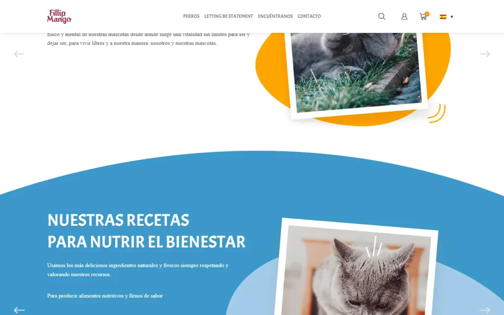 Fillip Mango: sección del sitio